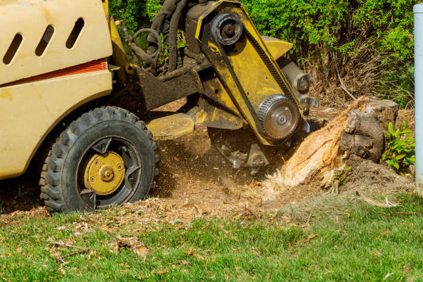 Artificial Turf Installation in Ashland, KY